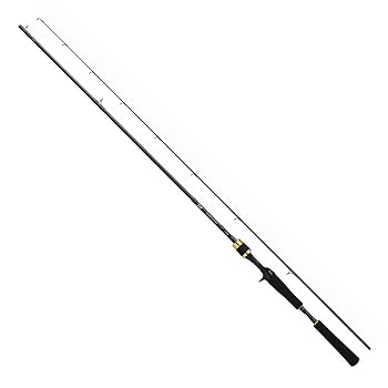 DAIWA - ダイワ　ラテオ63MS ボートシーバス Amazon | ダイワ(DAIWA) ボートシーバスロッド ラテオ BS 610MB